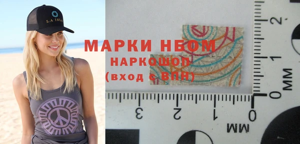индика Армянск