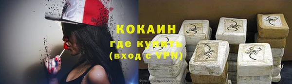 индика Армянск