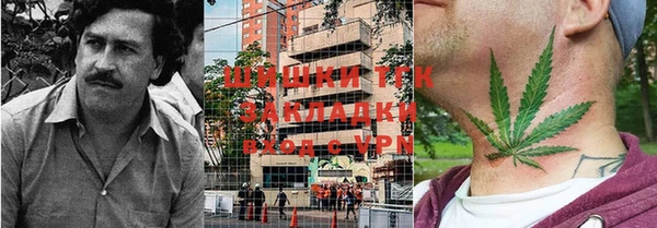 тгк Арсеньев