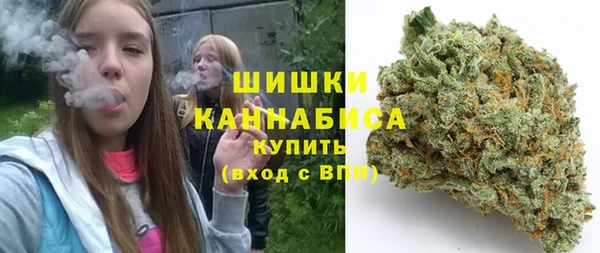 тгк Арсеньев