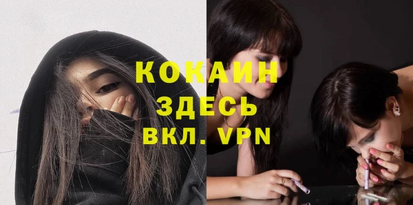 тгк Арсеньев